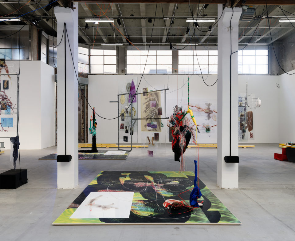 Julien Creuzet, vue de l'exposition au Palais de Tokyo, 2019, Paris